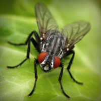 /album/pazipnavung/photolia-a01-jpg/