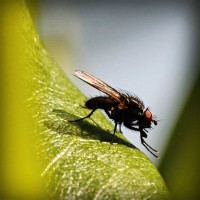 /album/pazipnavung/photolia-a04-jpg/