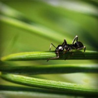 /album/pazipnavung/photolia-a05-jpg/