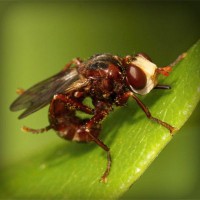 /album/pazipnavung/photolia-a06-jpg/