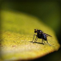 /album/pazipnavung/photolia-a07-jpg/